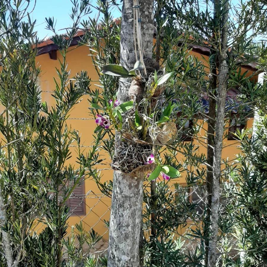 Chacara Em Atibaia Villa Екстериор снимка